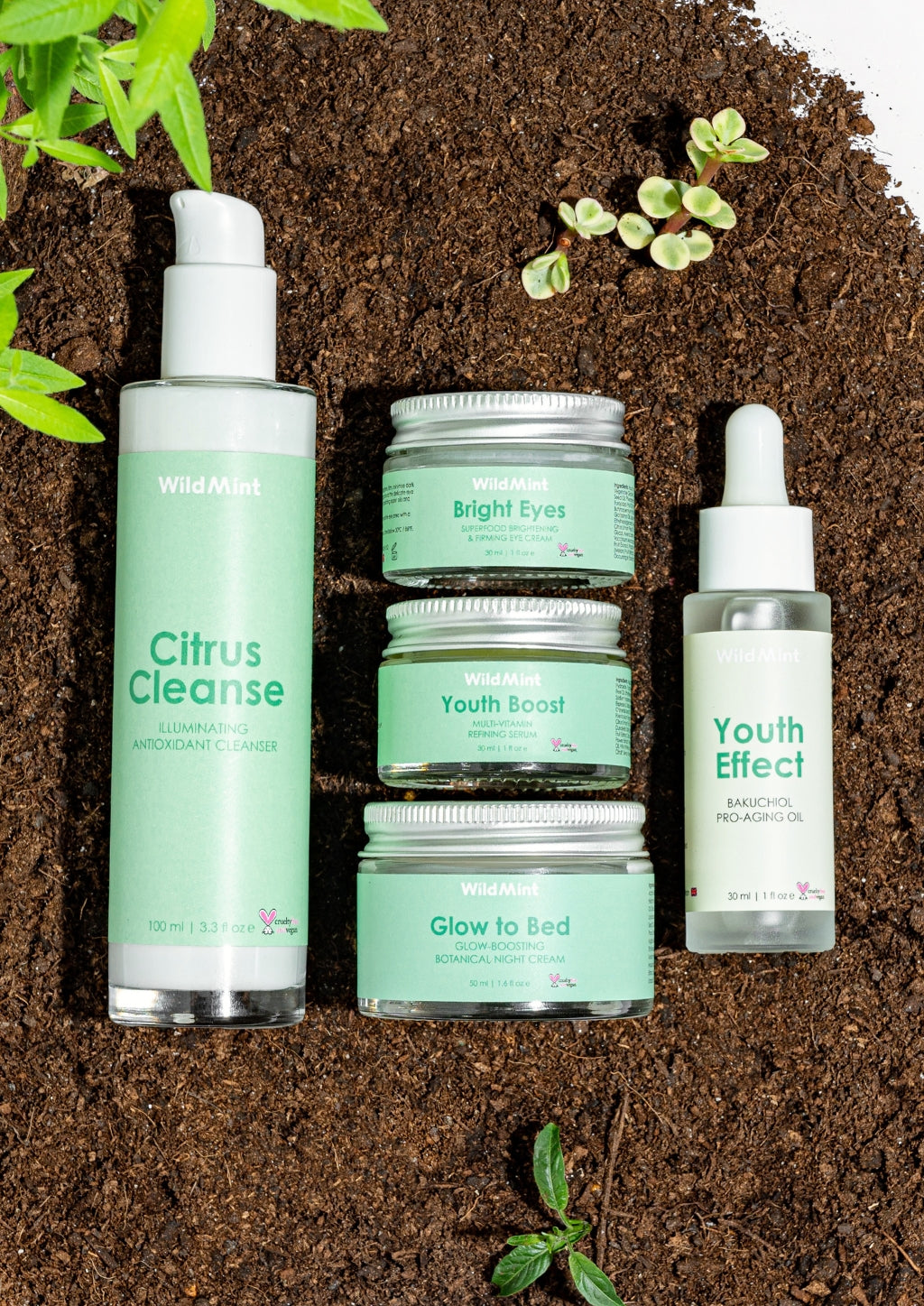 Pro-Aging Glow Set