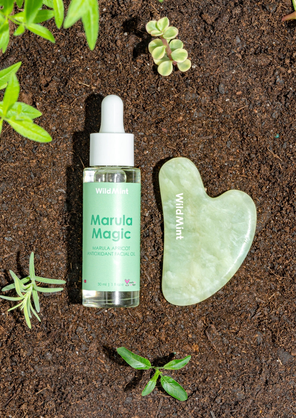 Face Massage Duo