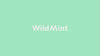 wild mint travel set